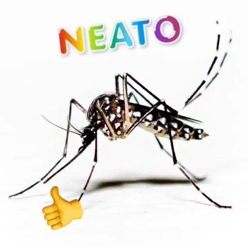 creator Neato's avatar