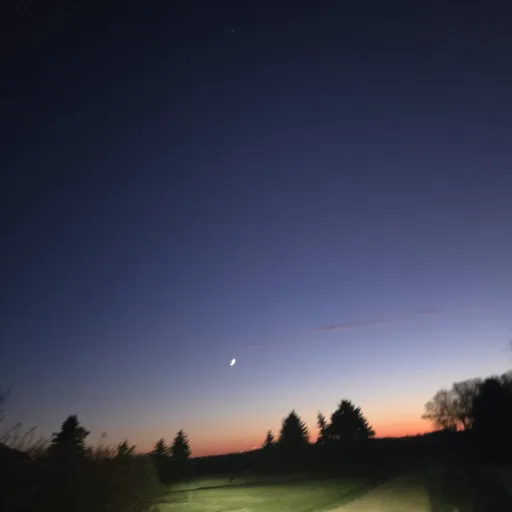 creator Avery 1278's avatar