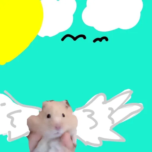 creator hamater king's avatar