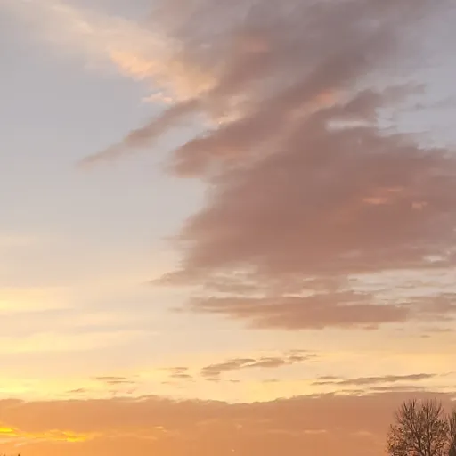 creator Talkior-RG6fikAl's avatar