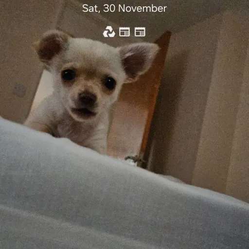 creator Georgie🥔🥔🥔🥔🥔🥔🖤😞😑😱🖤's avatar