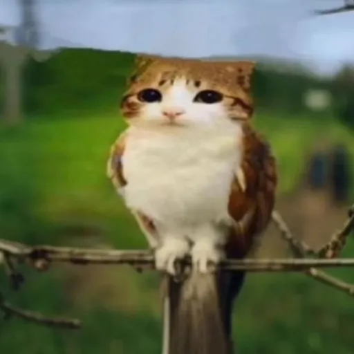 creator luckyllama's avatar