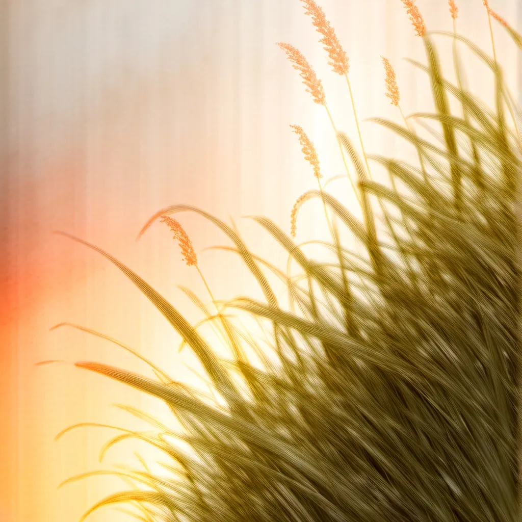 chat with ai character: Grass 2.0