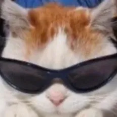 creator Wimpyza11's avatar