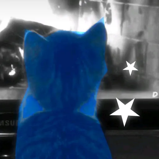 creator Ellie Smith🩶's avatar