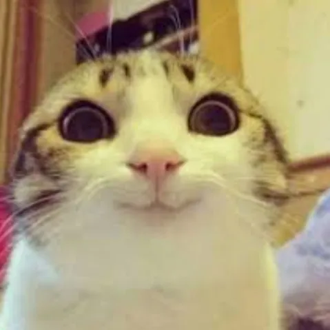 creator Hehe_noice's avatar