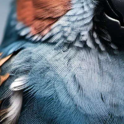 chat with ai character: Buddy the bird