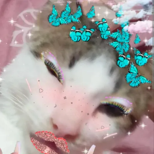 creator MissCat🐈's avatar