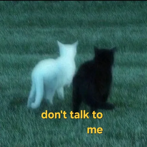 creator lily1325's avatar