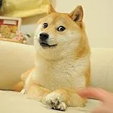 creator DOGEYTS's avatar