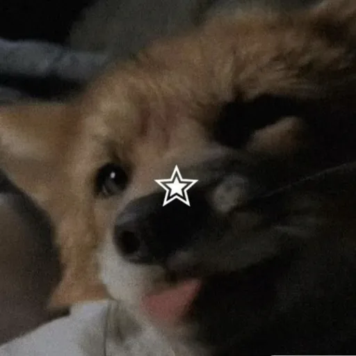 creator 💅✰Y/N✰💅's avatar