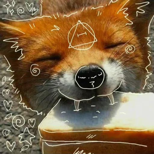 creator ivvy da foxtherian's avatar