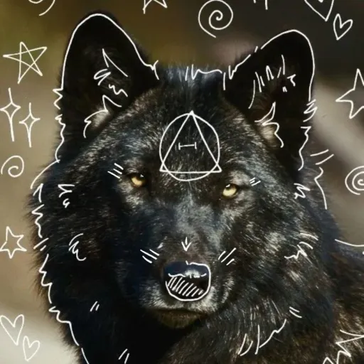 creator 🌑🥀☆~luna~☆🥀🌑's avatar