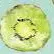 creator 🪷~🥝kiwi🥝~🪷's avatar