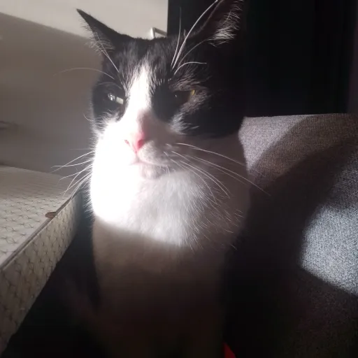 creator Legend✨'s avatar