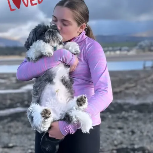 creator Liv faye's avatar