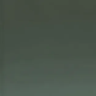 chat with ai character: scp-323(-1)