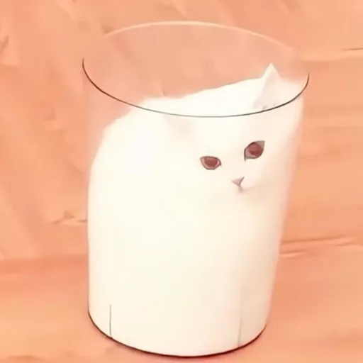 creator MEOWILK's avatar