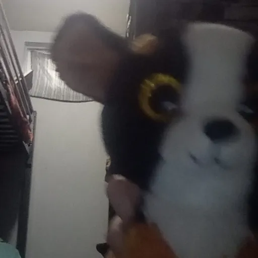 creator Talkior-T8SQKUm0's avatar