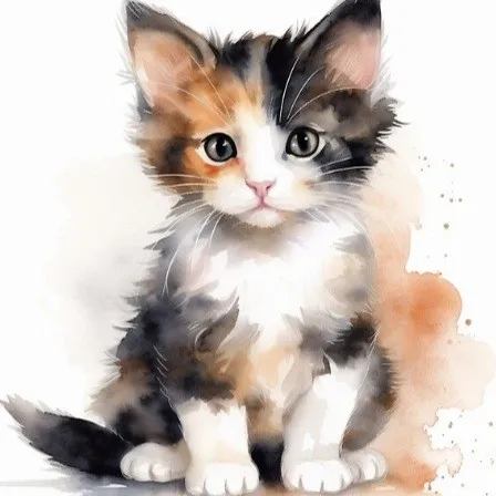 creator xXranbowXx's avatar