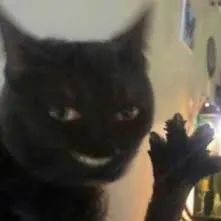 creator GeraldThecat's avatar
