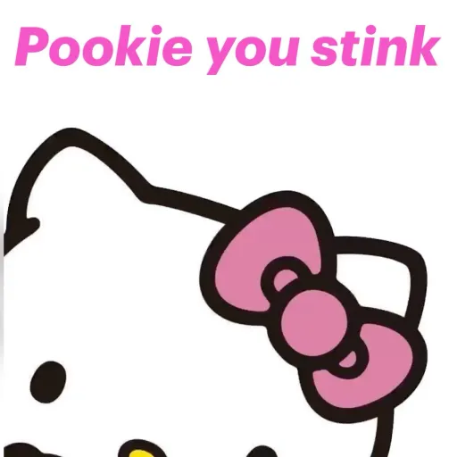 creator Pookie you stink's avatar