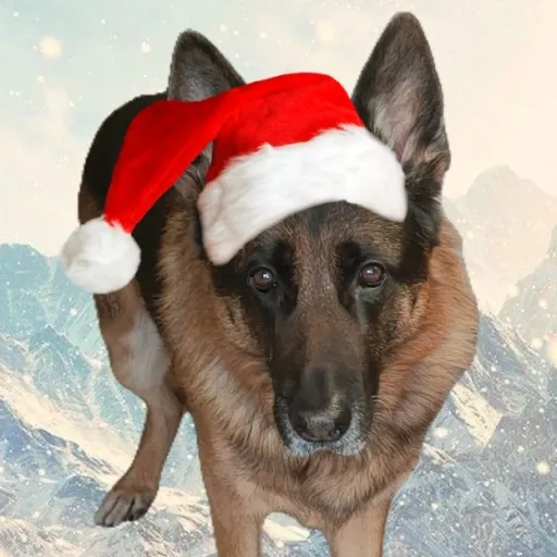 creator Jess_21🔥's avatar