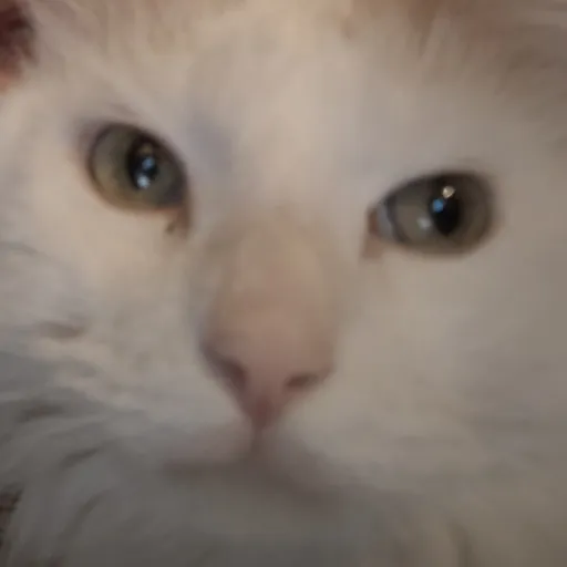 creator moehack's avatar