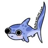 creator shark thingy's avatar