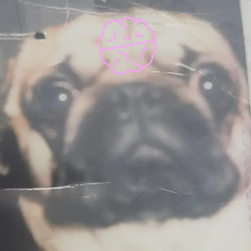creator @Casey ( ・ω・)'s avatar