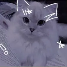 creator ★VeryPreppyCat★'s avatar