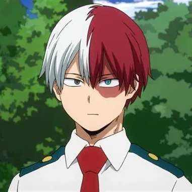 creator Shoto todoroki 15's avatar