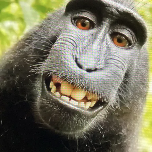 creator kat4life05's avatar