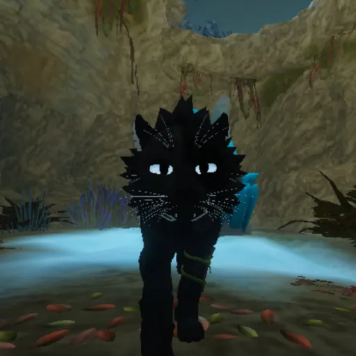 creator tom_boy's avatar
