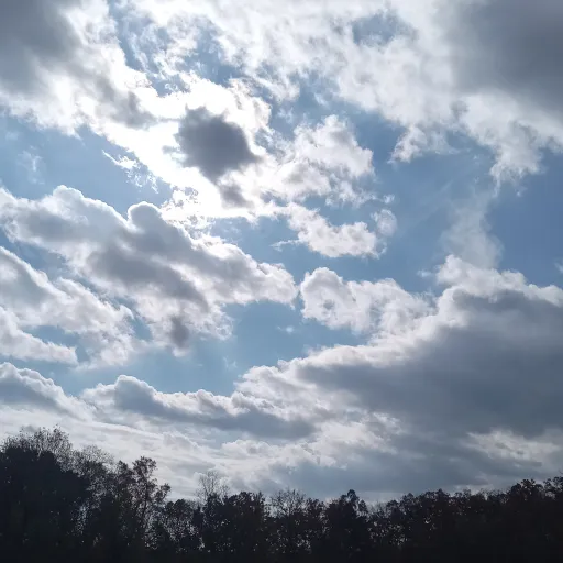 creator to.many.sky.pics♡~'s avatar