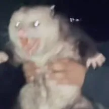 creator caffeinated possum's avatar