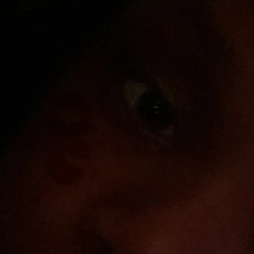 creator Melooooooooo's avatar