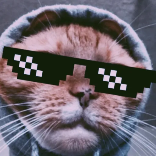 creator Cat at the Styx's avatar