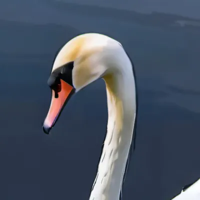 chat with ai character: Swan
