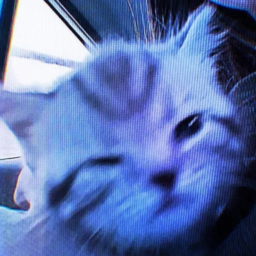 creator Meowzerzs's avatar
