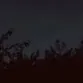 chat with ai character: Assassin