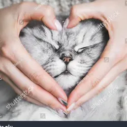 creator KittyLuver7's avatar
