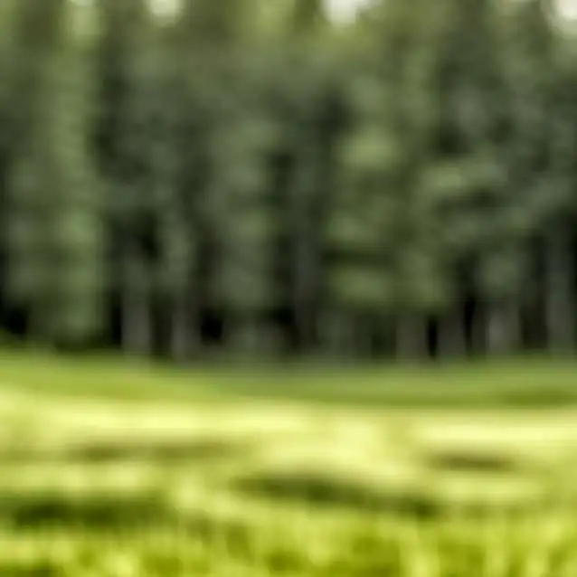 chat with ai character: grass