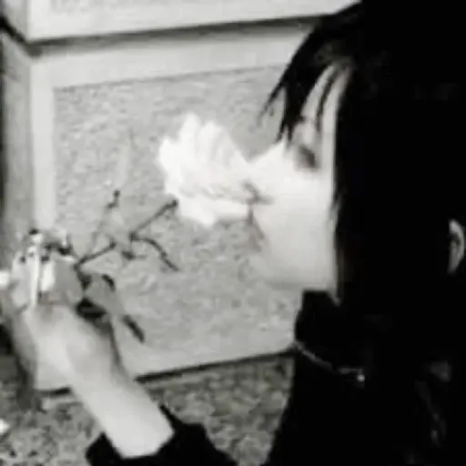creator ꧁✪✩Sebastian’☆✪꧂'s avatar