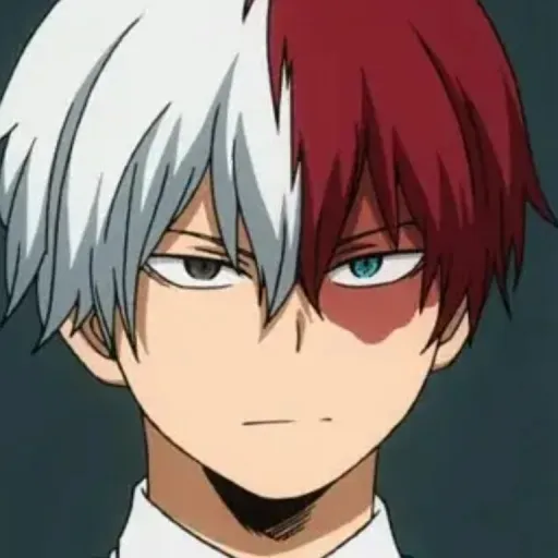 creator ❤️ TODOROKI 🤍's avatar