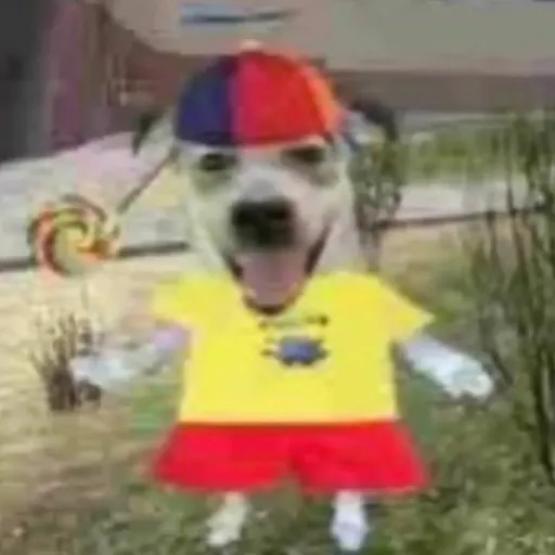 creator artistic boy's avatar