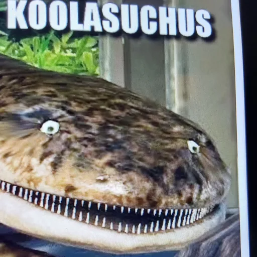 creator Koolasuchus's avatar