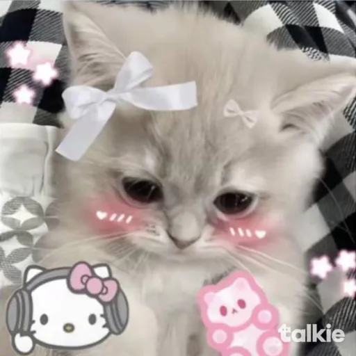 creator Hannie_Wifey🦫🦫🦫🦫🦫's avatar