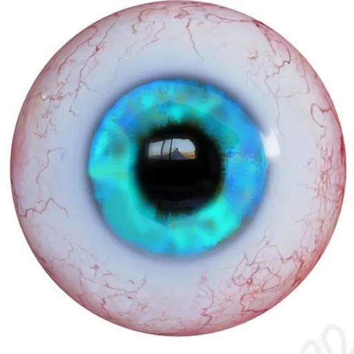 creator nicefish's avatar