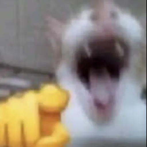 creator Maxwell the laugh's avatar
